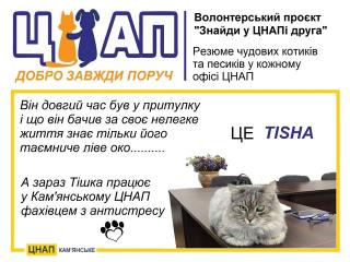Кам’янчанам пропонують знайти у ЦНАПі друга